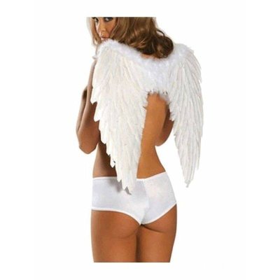 Feather Wings White 19 Inches Tall